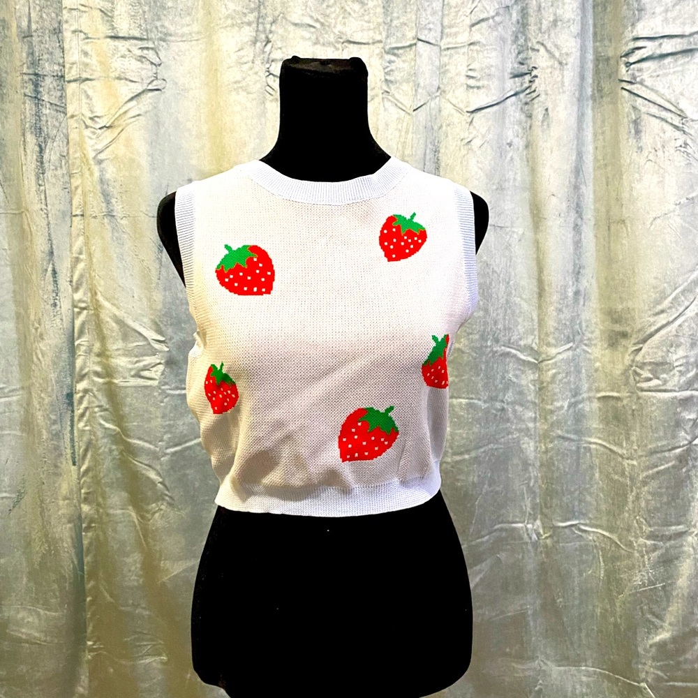 Cider Strawberry Sweater Vest
